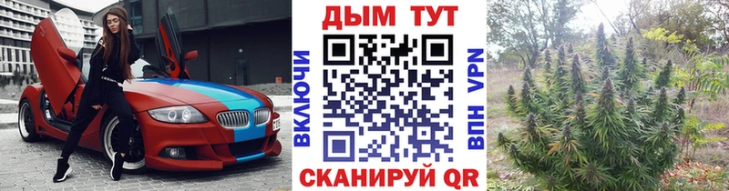 сколько стоит  ссылка на мегу ТОР  мориарти как зайти  Нижнеудинск  Канабис MAZAR 